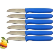 Sürbısa 6 Lı Meyve Bıçağı Mavi 61007