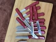 Kapris 12 Adet Meyve Bıçağı Seti Alman Model Kırmızı SLR01